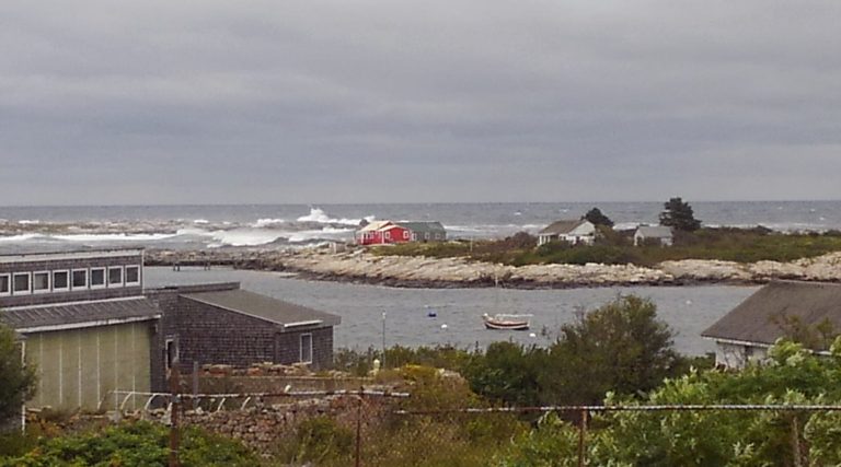 Centennial 9 768x427