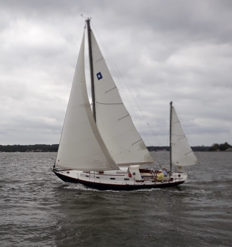 D378B1F2 C224 45DB B5AB 7B30CC3DF5F6 768x815