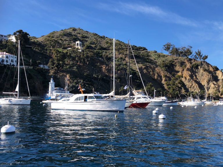 DDB958A0 57AE 41F2 9F3A 0577CB1D7E84 768x576