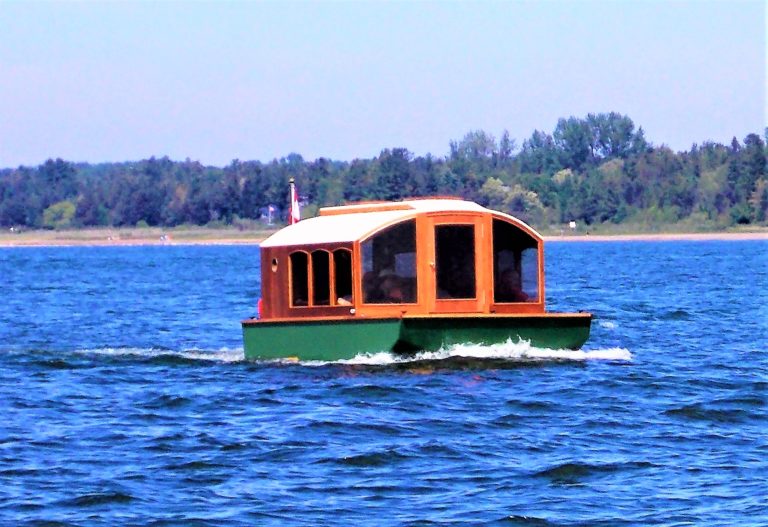 DIANNES ROSE open water 2 768x527