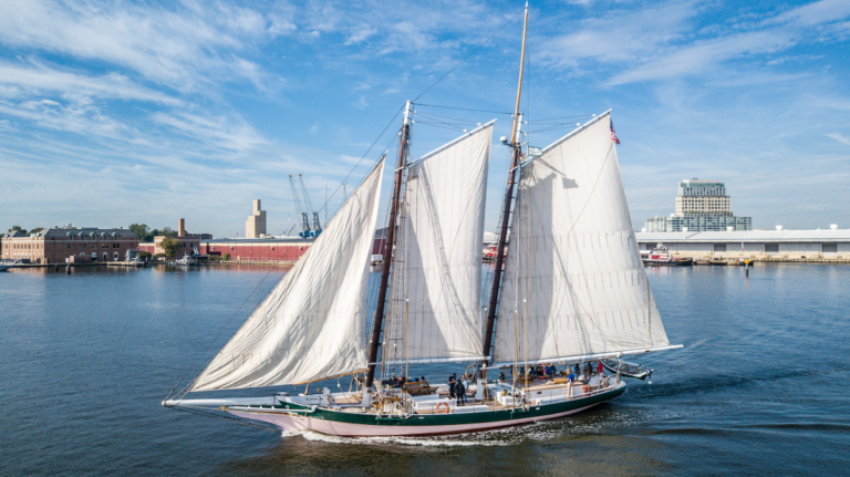 DJI 0082 copy 768x431