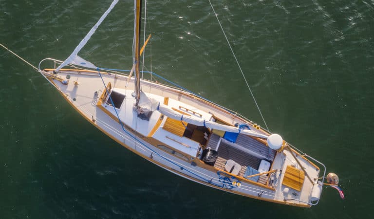 DJI 0706 2 1 copy copy 768x450