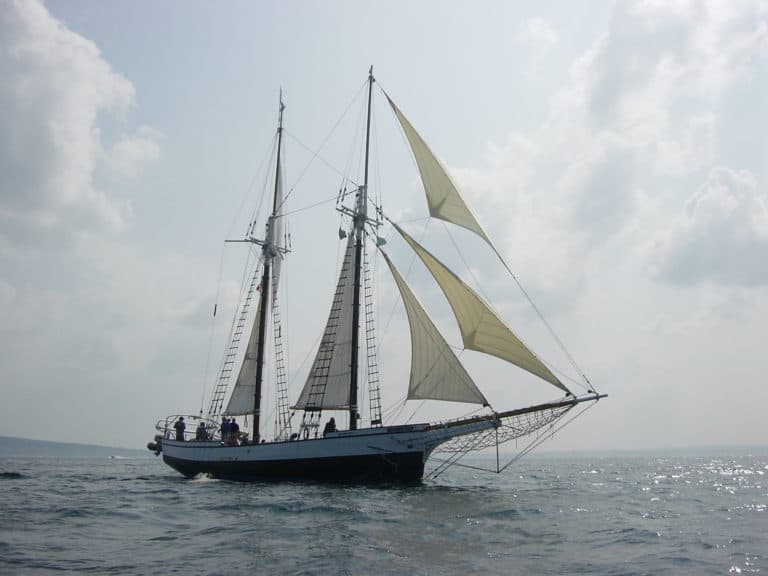 DSC02037 copy 768x576