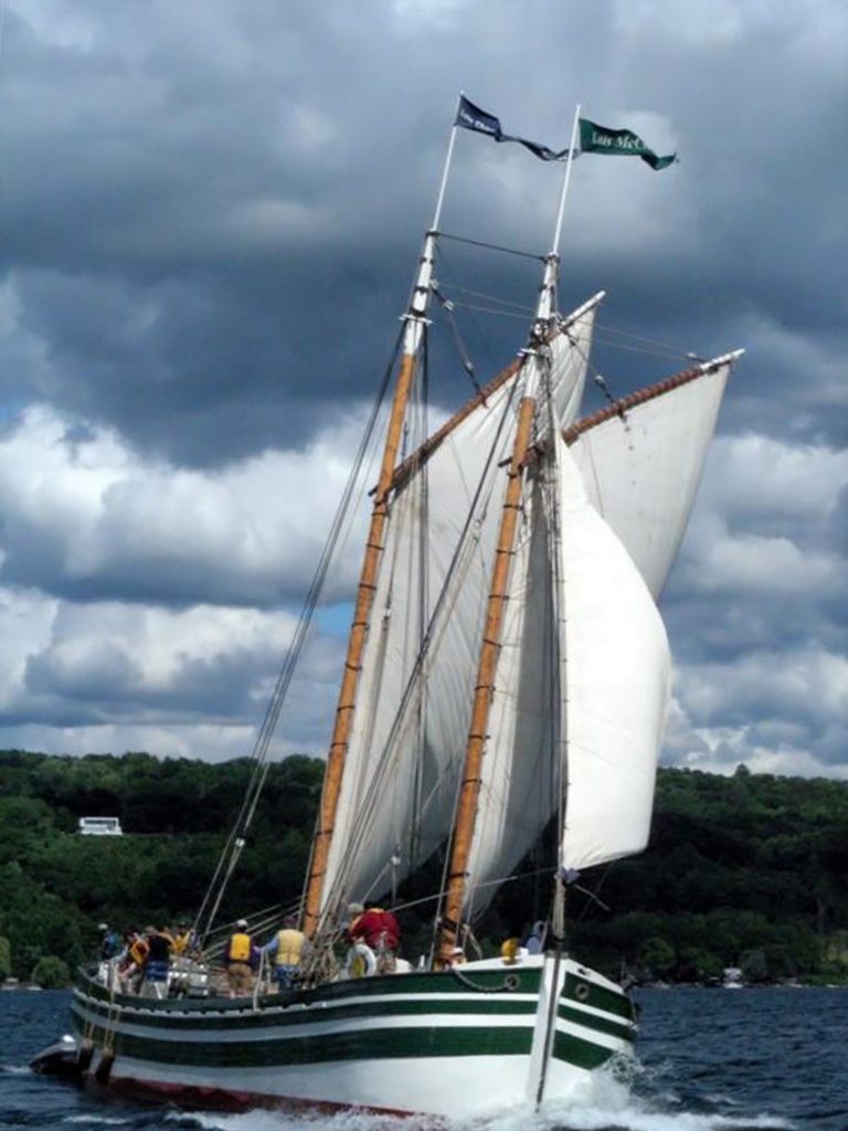 DSCN0650e2 Large 4 768x1024