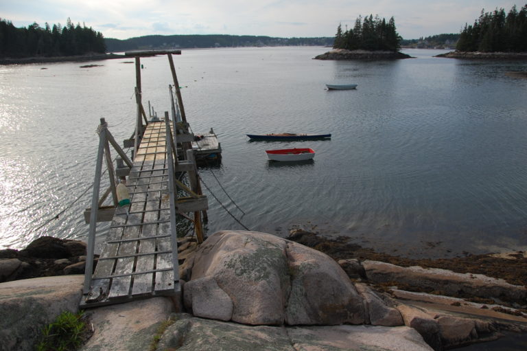 DSC 0200.JPG 768x511