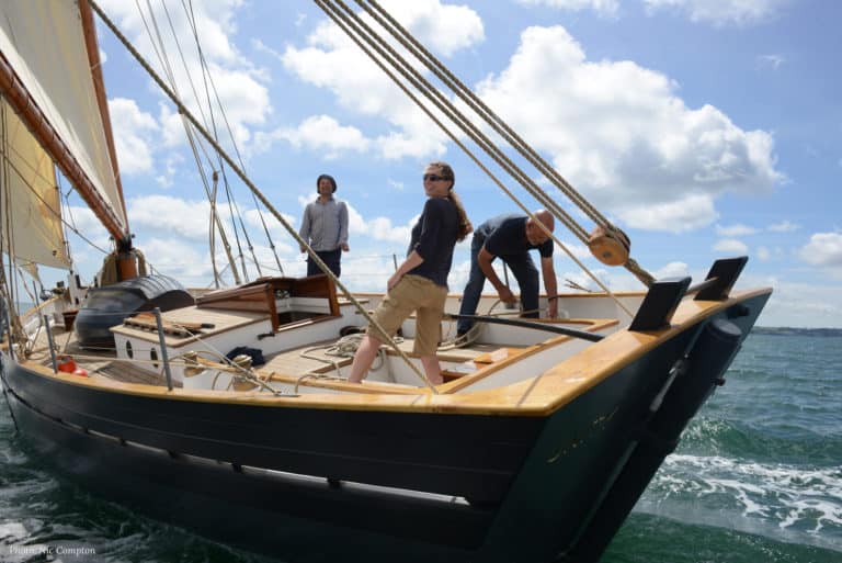 DSC 2961 credit 768x513