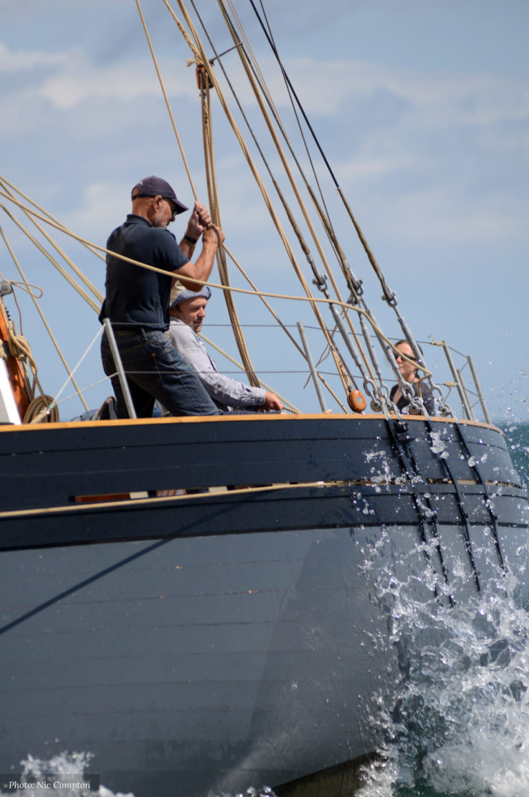 DSC 3020 credit 768x1157