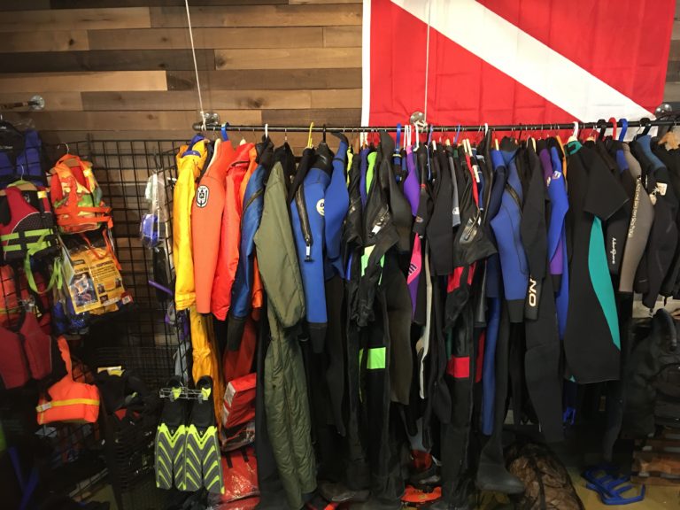 Dive Section copy 768x576