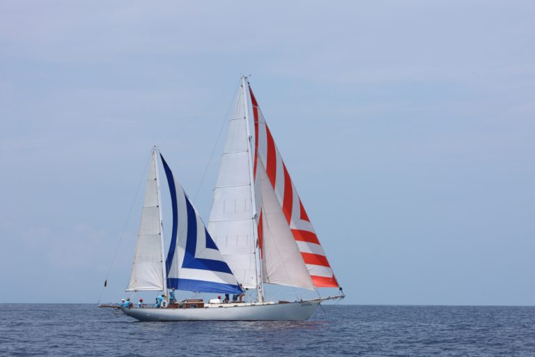 E005C20C 9607 4F6C 9048 FDFA6C9CF8D4 768x512