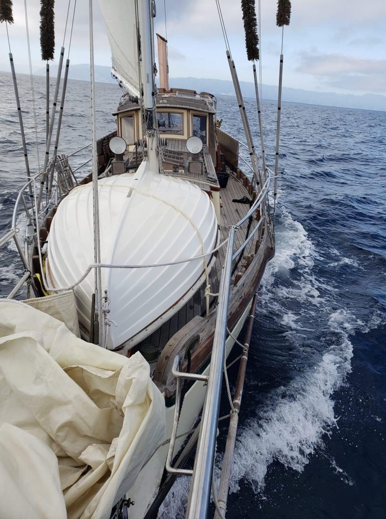 E0AEF600 1FC6 468D 8EAD 2D03733C9EEC 768x1032