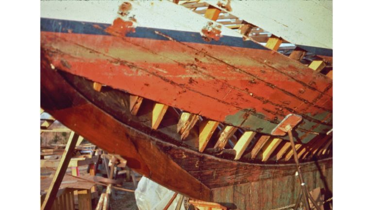 ELF Restoration rotten bow 768x433