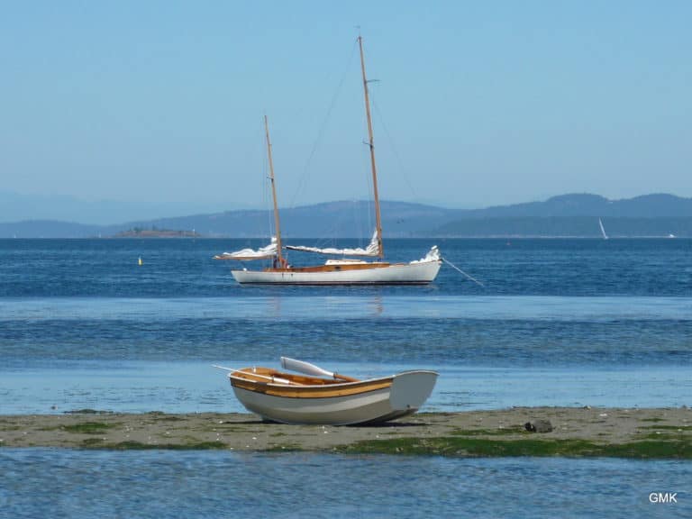 Evan James Island 001 768x576