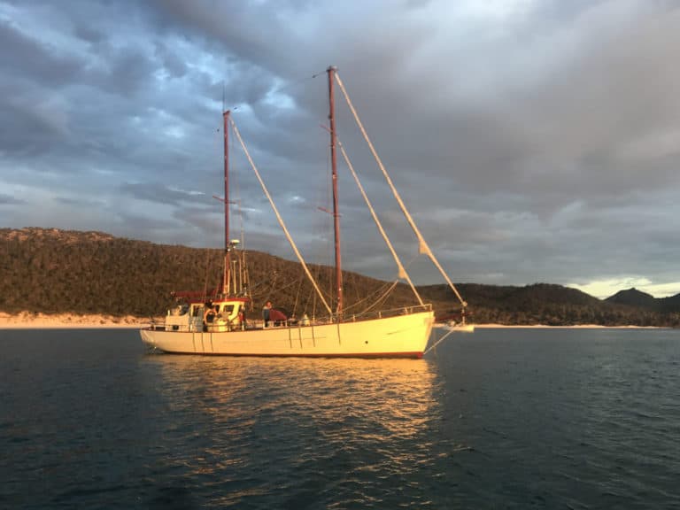 F0F2C800 3D54 4358 BAE9 8299DDAC7A6F 2048x1536 1 768x576