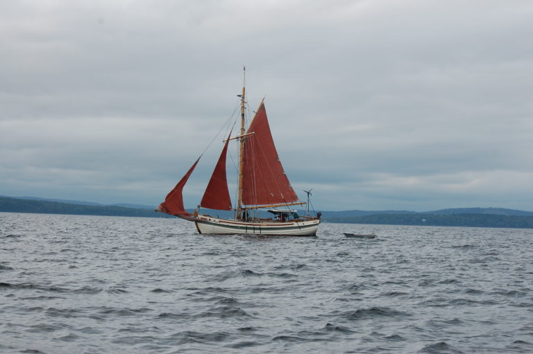 FD1CA37F 4E2A 4607 92E4 F6CFF4582956 768x511