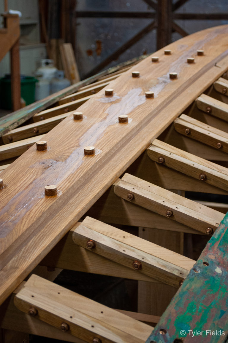 FIELDS 0007 2012 768x1157