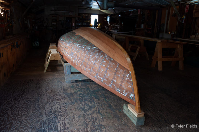 FIELDS 0088 2012 1 768x510