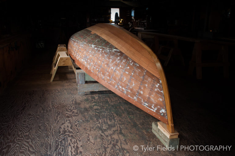 FIELDS 0088 2012 768x510