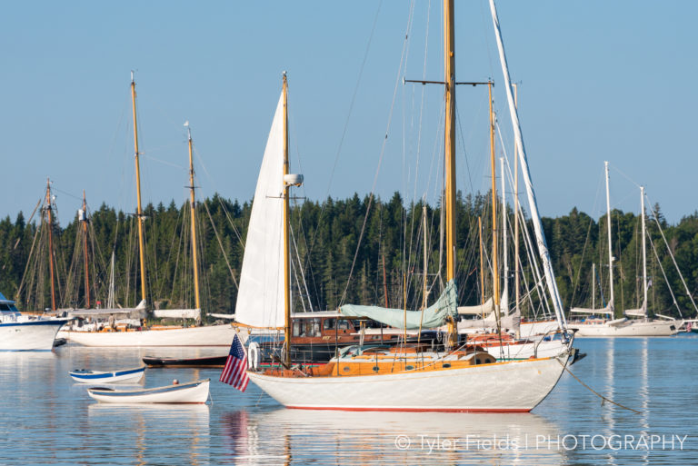 Fields CYOA12 768x513