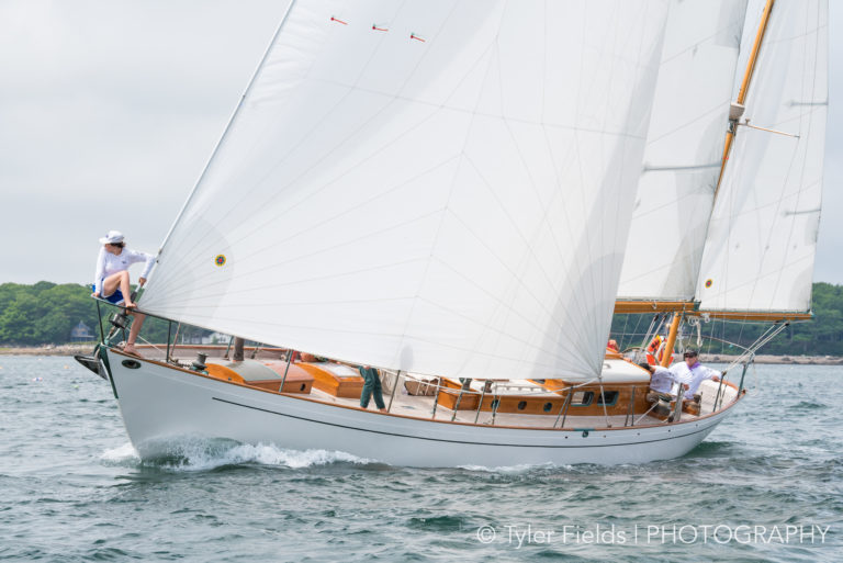 Fields CYOA9 768x513