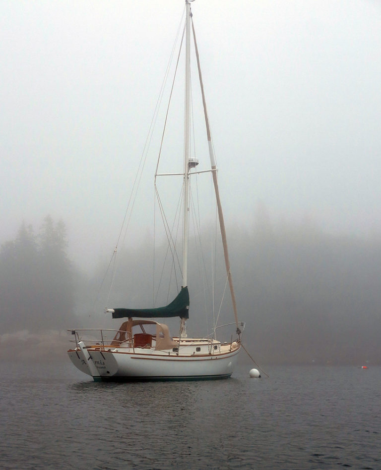 Foggy Artemis 768x949