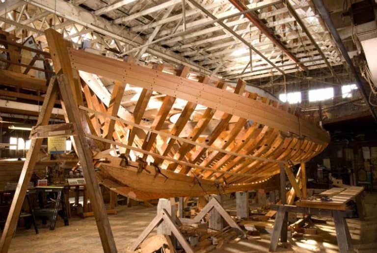 FredaFramedSunlight 768x515