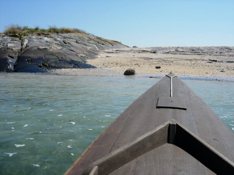 Hummingbird2 768x576