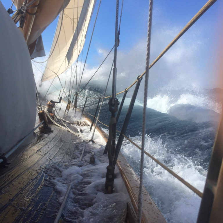 Hurrica to Hobart 768x768