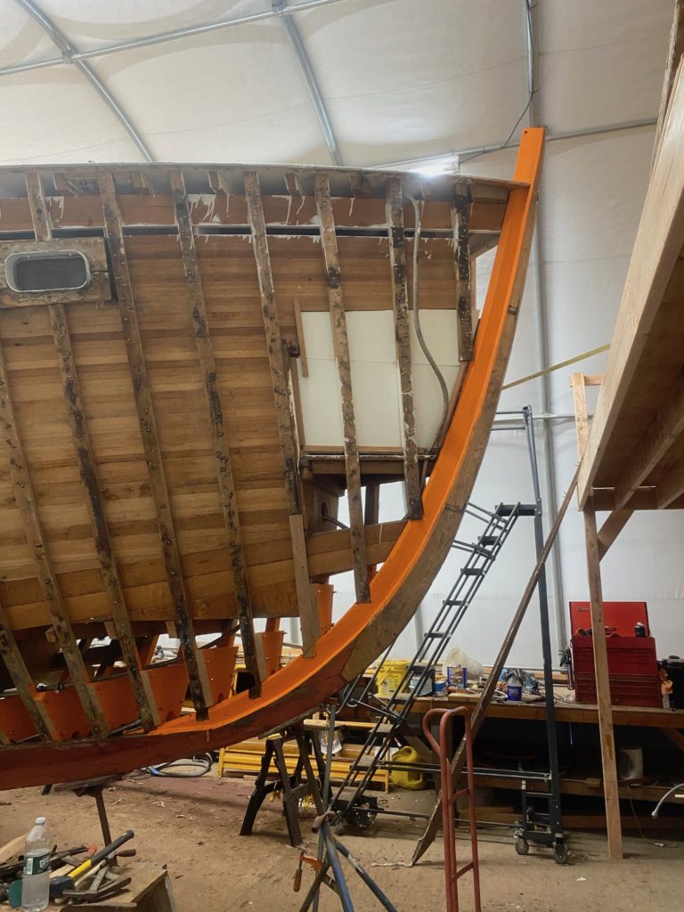 IMG 0131 smaller 768x1024