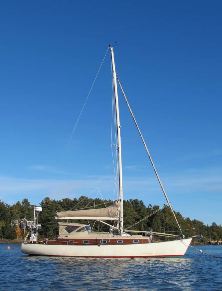 IMG 1323Crop 768x1005