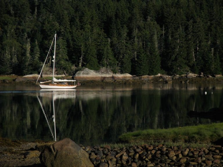 IMG 1607 26896 Resized  768x576