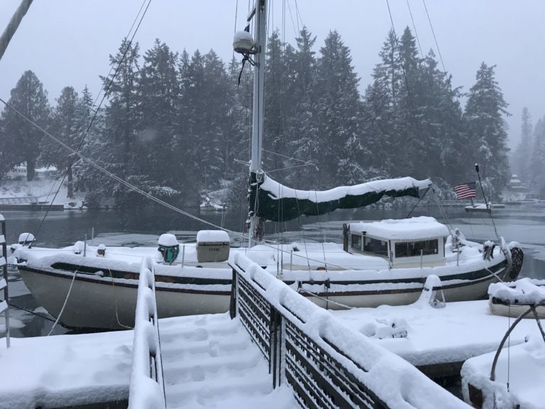 IMG 1956 copy 768x576