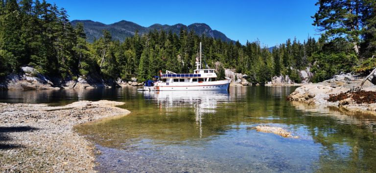 IMG 20190807 152748 768x354