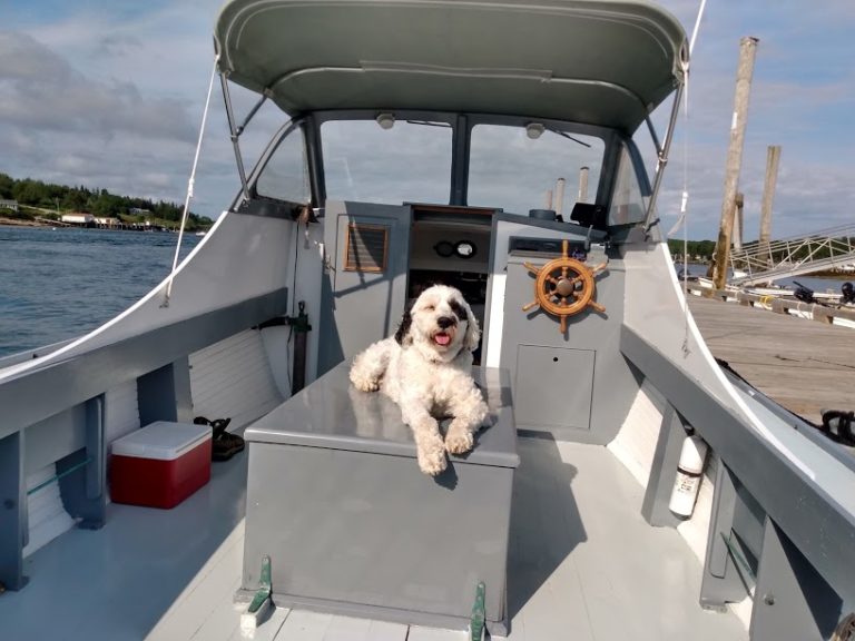 IMG 20200707 170335016 HDR 768x576