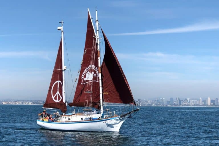 IMG 2206 Cropped Edited 768x512