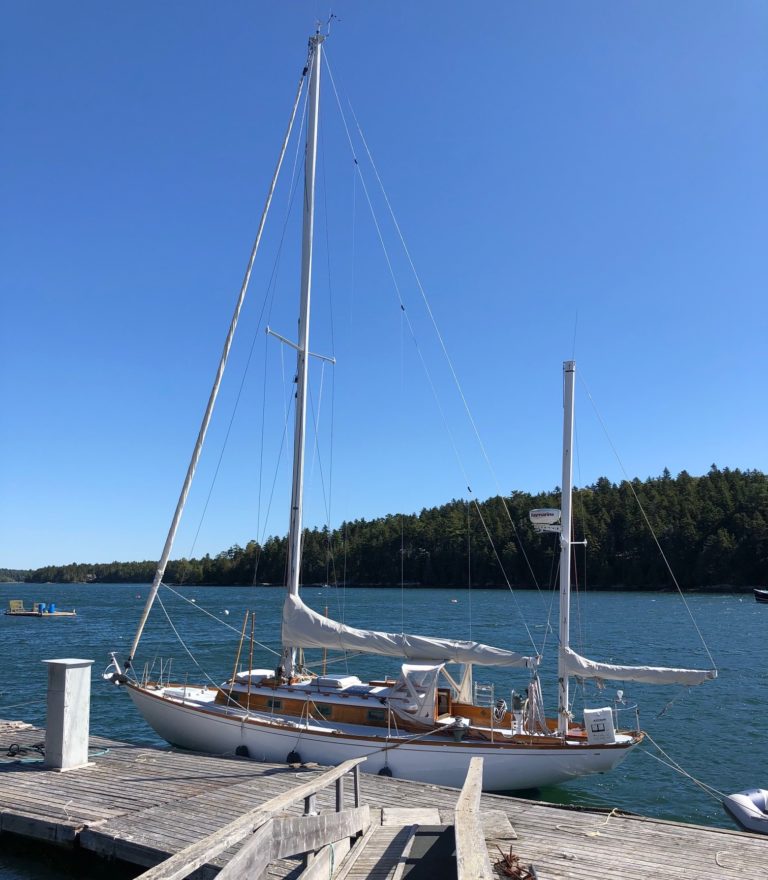 IMG 6024 2 1 768x880