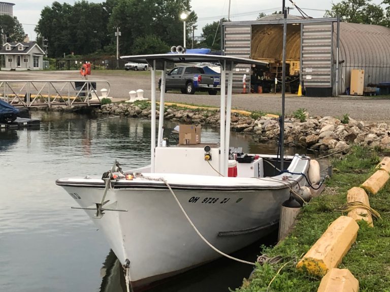 IMG FwdViewT Top 768x576