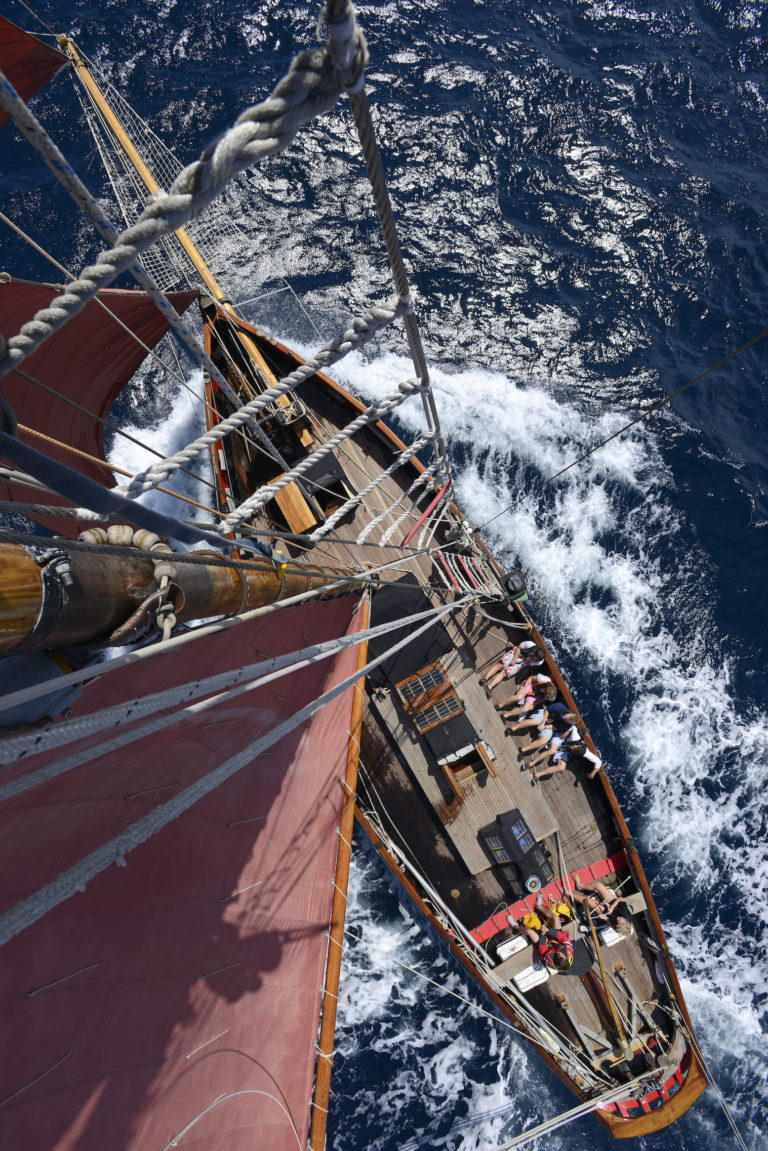 JBIreRT13 00652 1 768x1151