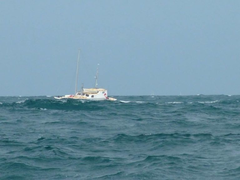 John Dory in swell 768x576