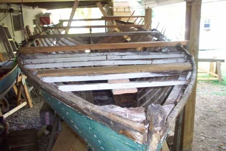 Kewpie 8 19 2008 768x512