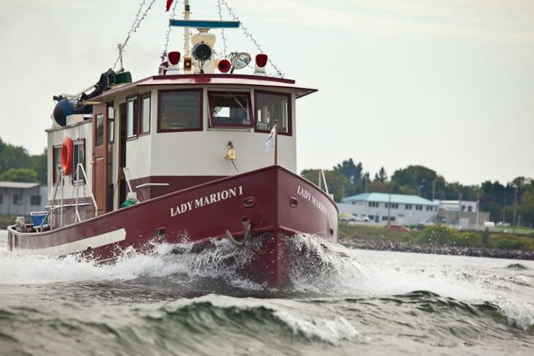 Lady marion Race 768x512