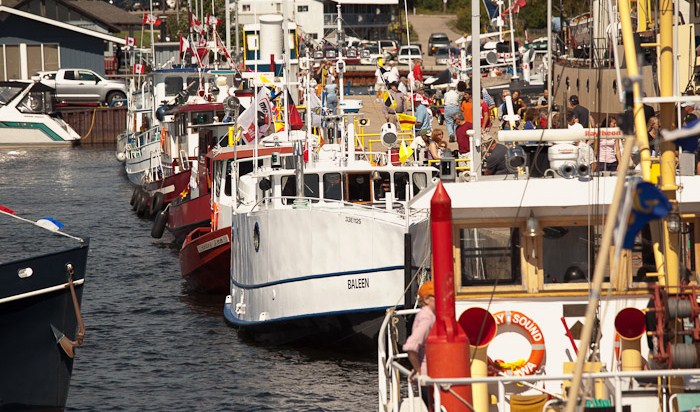 Lineup on dock