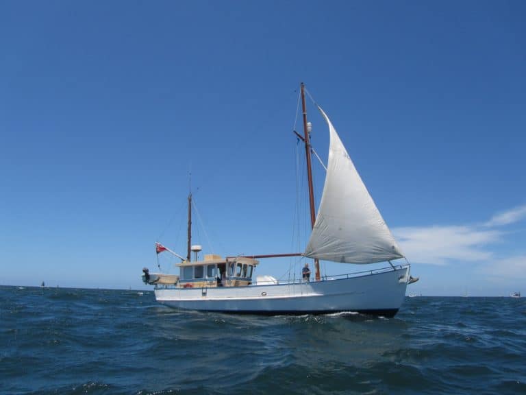 Lyndenne 2012 01 02 MFlapan 8 768x576