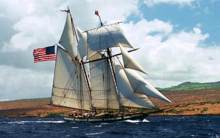 Lynx off Hawaii 768x483