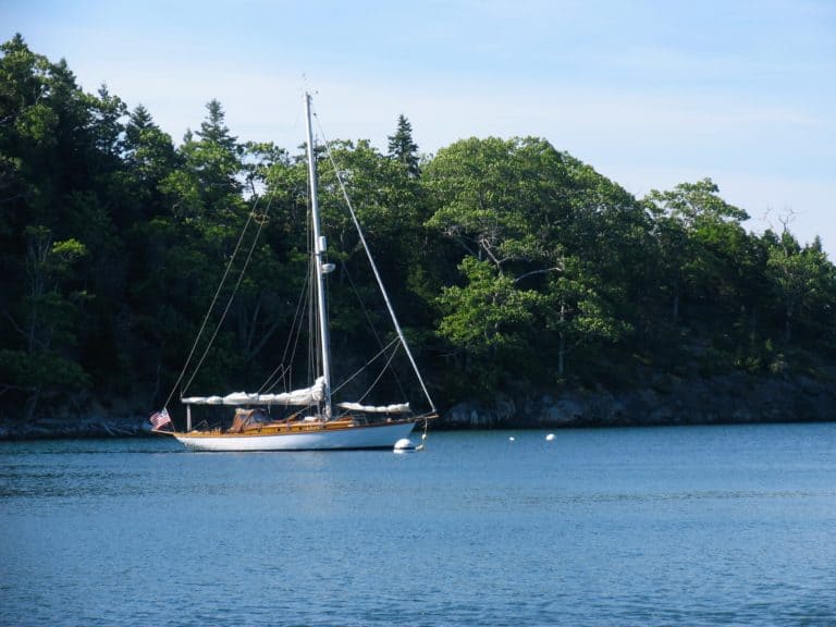 MG 8064 Resized  768x576