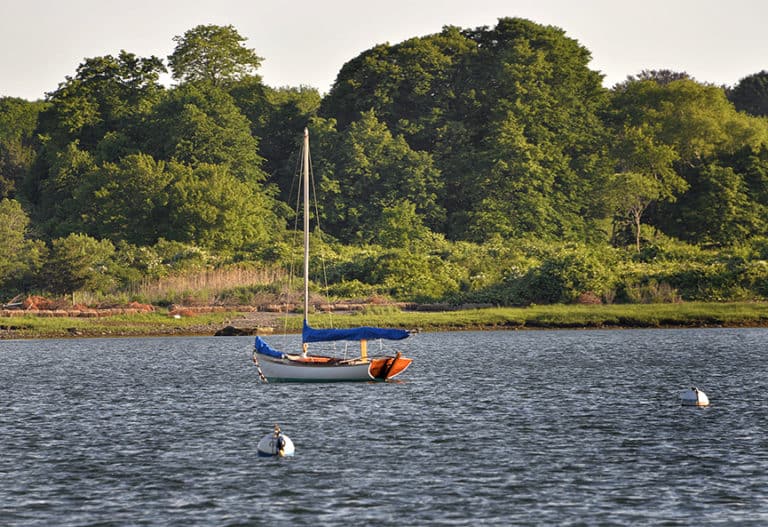 MRC9118b small 768x527