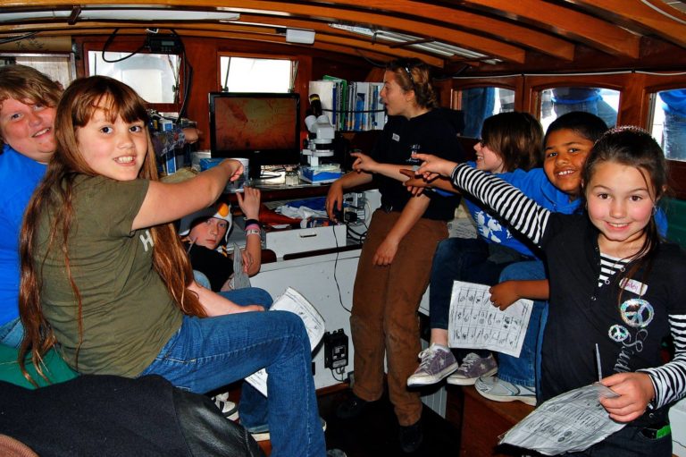 Member March 2 768x511