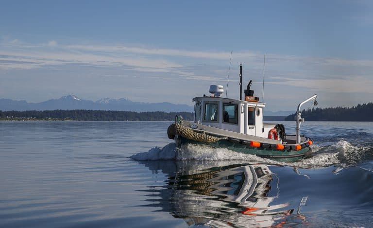 NSR 200619 0164315 768x469