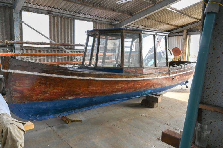 Nellie at Ness 768x511