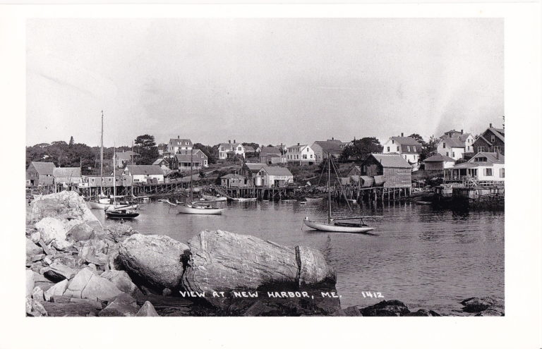 New Harbor PMM 768x495