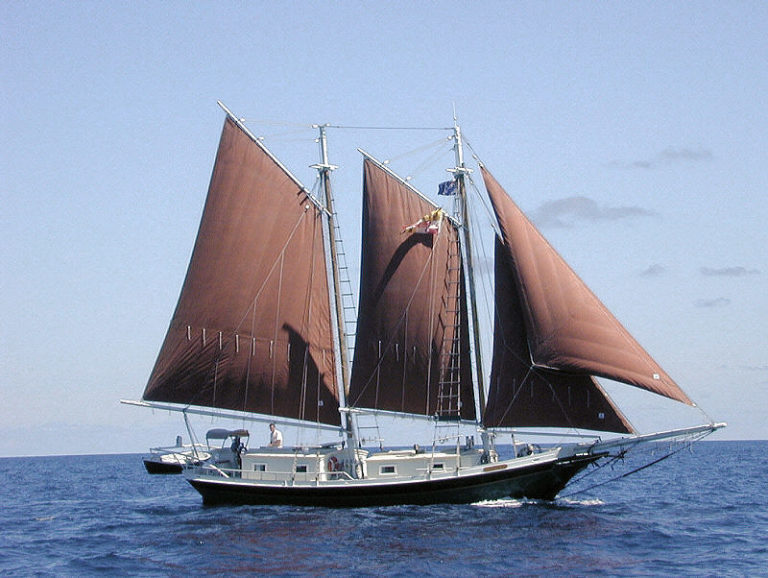 Nina full sail 768x578